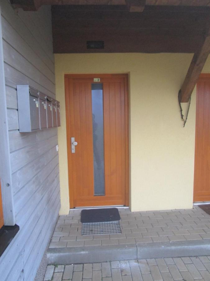 Apartman Ricky V Orlickych Horach Wüstenei エクステリア 写真