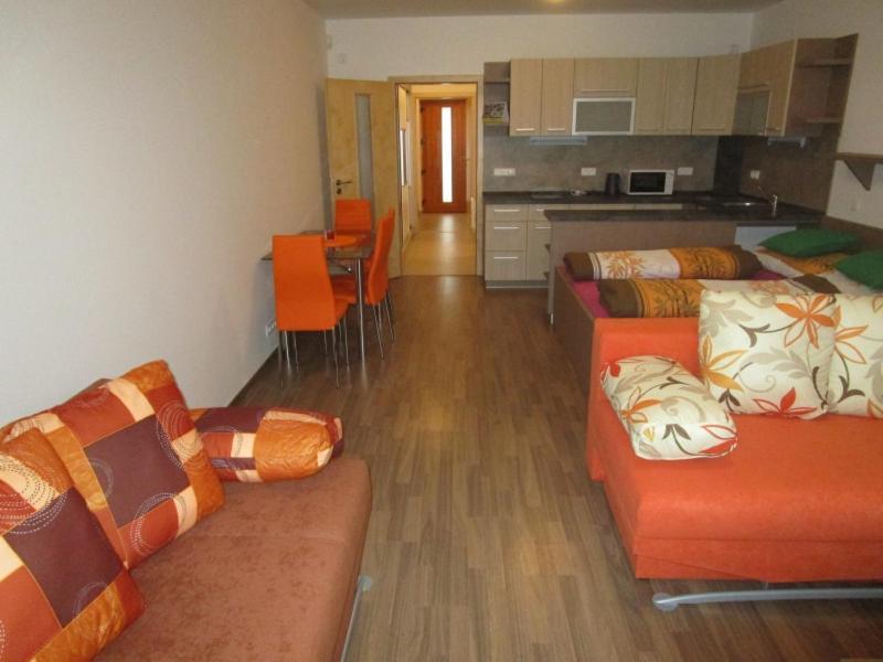 Apartman Ricky V Orlickych Horach Wüstenei エクステリア 写真