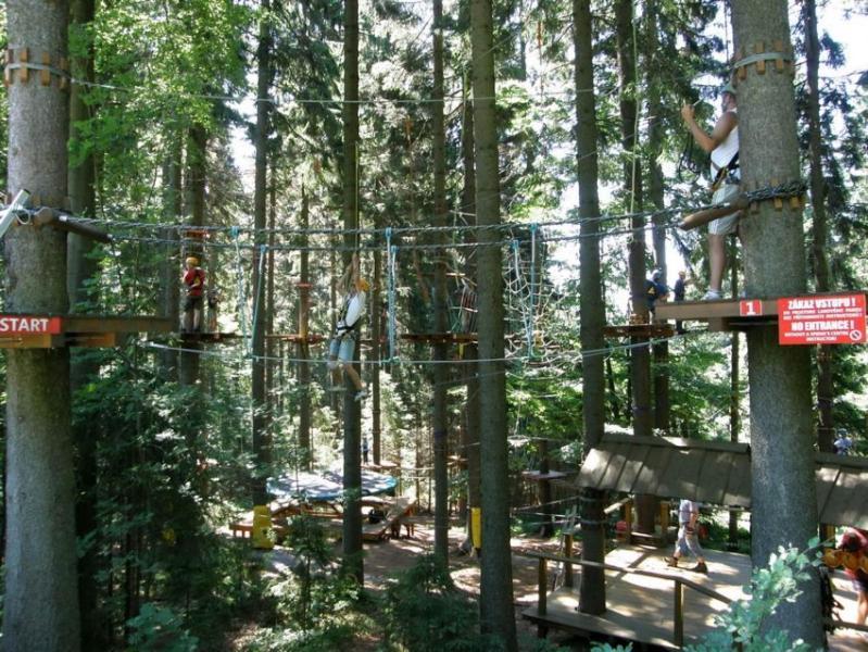 Apartman Ricky V Orlickych Horach Wüstenei エクステリア 写真