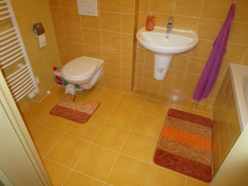 Apartman Ricky V Orlickych Horach Wüstenei エクステリア 写真