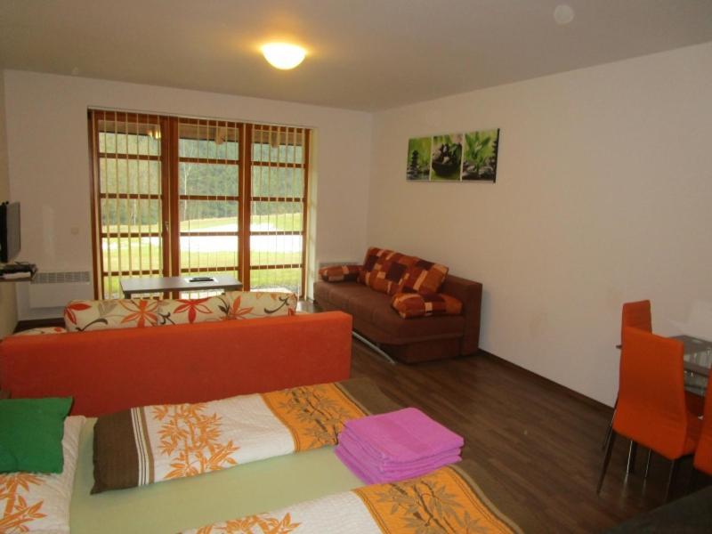 Apartman Ricky V Orlickych Horach Wüstenei エクステリア 写真