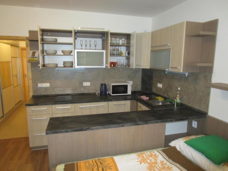 Apartman Ricky V Orlickych Horach Wüstenei エクステリア 写真