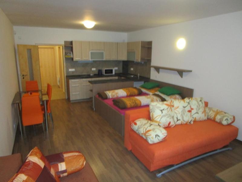 Apartman Ricky V Orlickych Horach Wüstenei エクステリア 写真