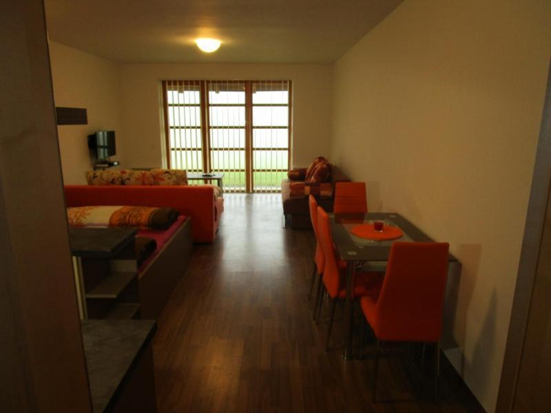Apartman Ricky V Orlickych Horach Wüstenei エクステリア 写真