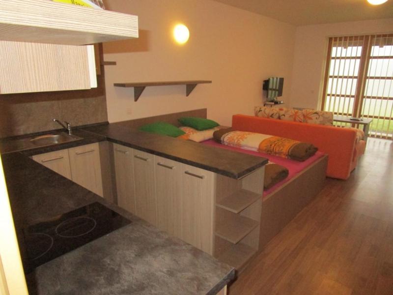 Apartman Ricky V Orlickych Horach Wüstenei エクステリア 写真