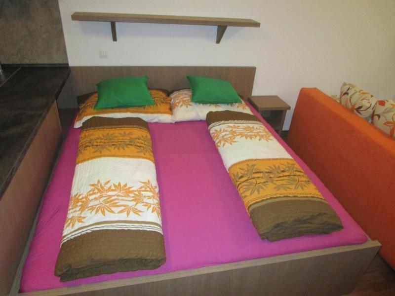 Apartman Ricky V Orlickych Horach Wüstenei エクステリア 写真