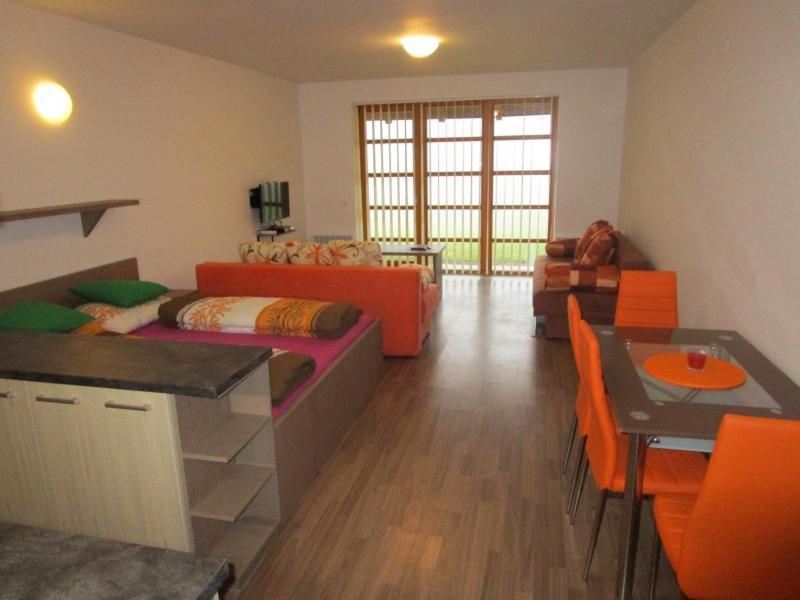 Apartman Ricky V Orlickych Horach Wüstenei エクステリア 写真