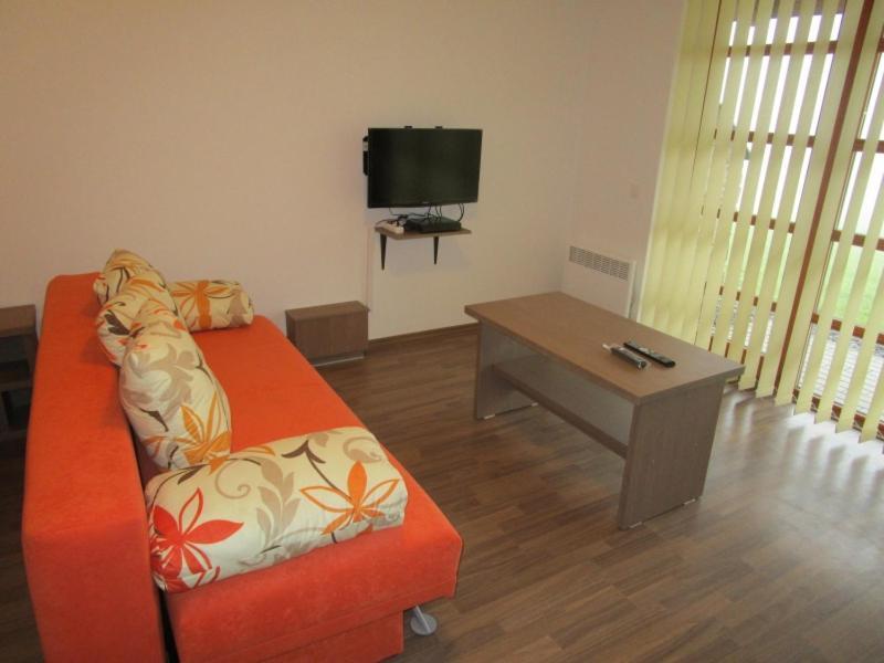 Apartman Ricky V Orlickych Horach Wüstenei エクステリア 写真